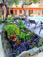 /album/fotos/jardim-2-jpg/